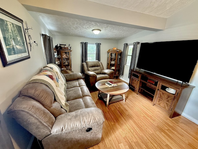3500 Poor Valley Rd, Rutledge, TN 37861 - living area with a textured ceiling, light wood-style flooring, baseboards, and beam ceiling