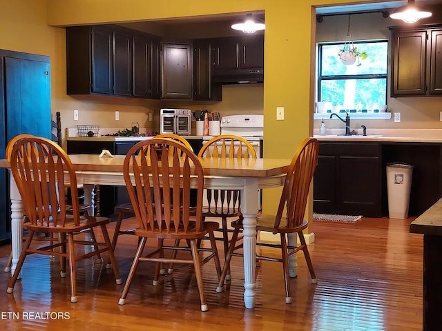 kitchen featuring an inviting chandelier, sink, dark brown cabinets, light hardwood / wood-style floors, and range