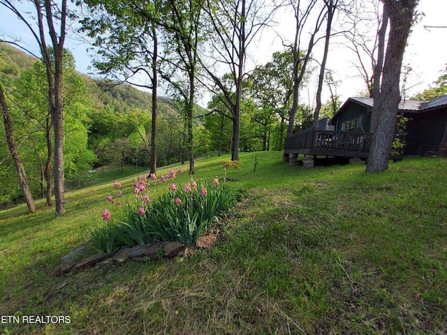 view of yard featuring a deck