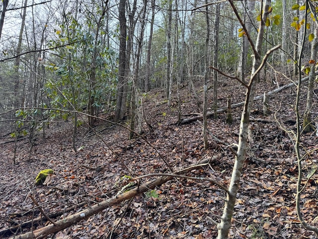 Listing photo 2 for LOT10 Black Gum Gap Rd, Gatlinburg TN 37738