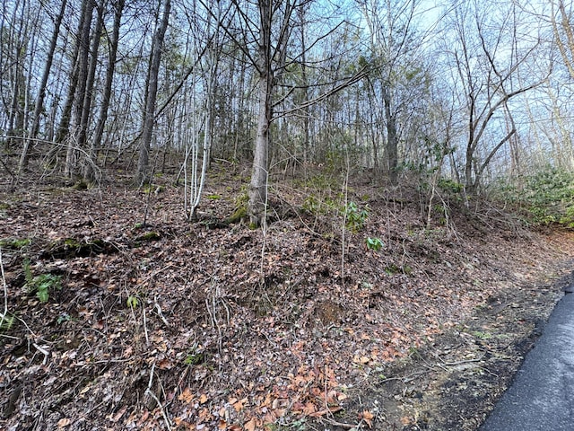 LOT10 Black Gum Gap Rd, Gatlinburg TN, 37738 land for sale