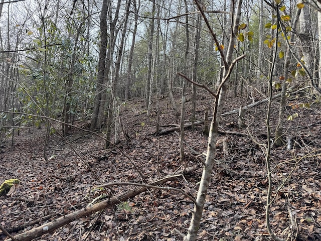 Listing photo 3 for LOT10 Black Gum Gap Rd, Gatlinburg TN 37738