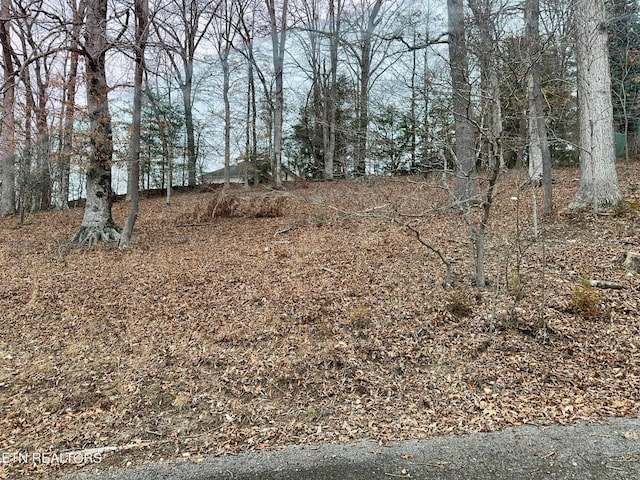 Listing photo 2 for LOT13 Madison Cir, Harrogate TN 37752