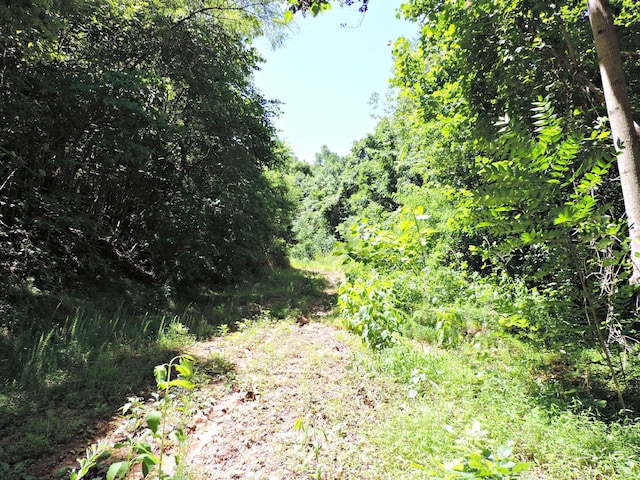 1476 Bear Creek Rd, New Tazewell, TN 37825