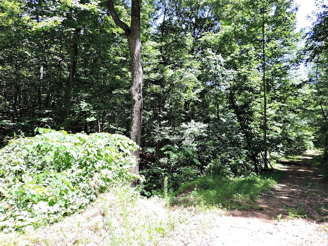 1476 Bear Creek Rd, New Tazewell, TN 37825