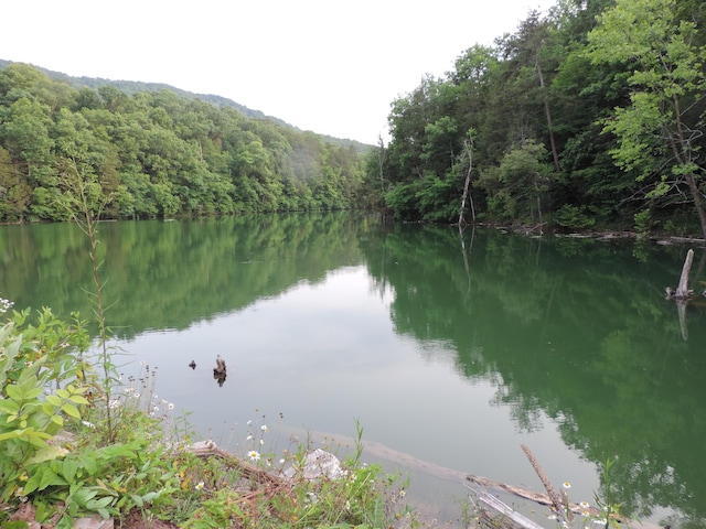 1476 Bear Creek Rd, New Tazewell, TN 37825