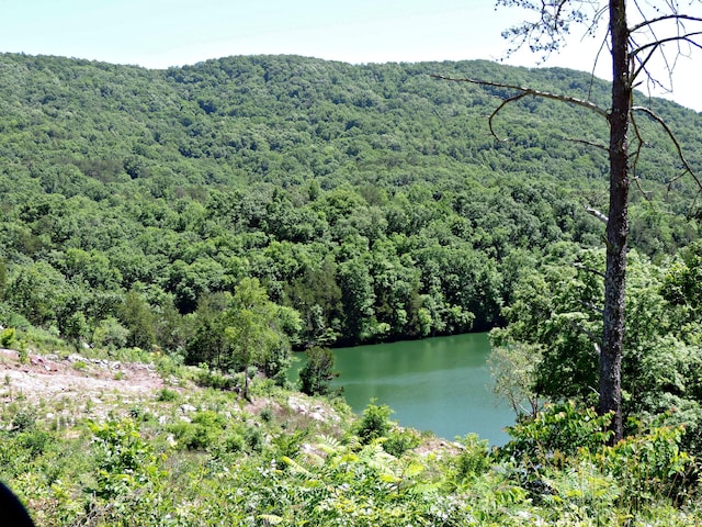 1476 Bear Creek Rd, New Tazewell, TN 37825