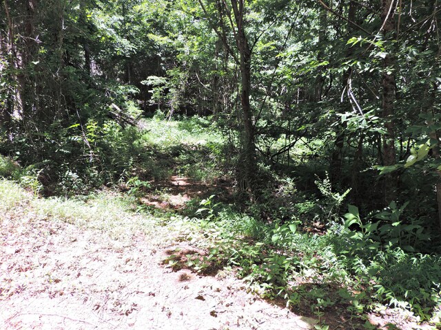 1476 Bear Creek Rd, New Tazewell, TN 37825