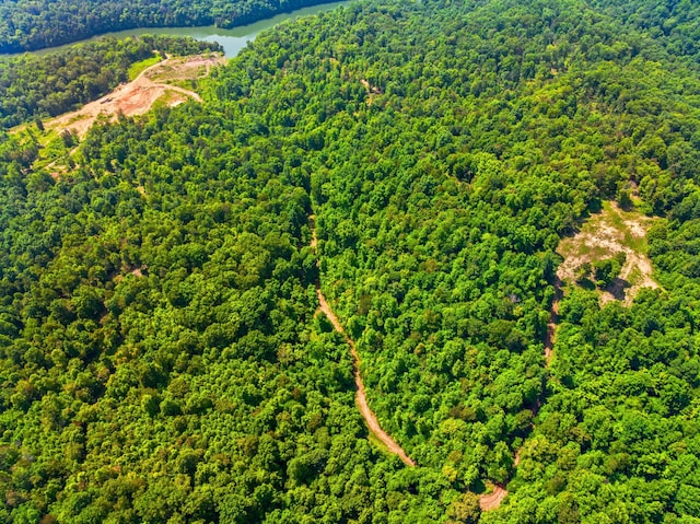 1476 Bear Creek Rd, New Tazewell, TN 37825