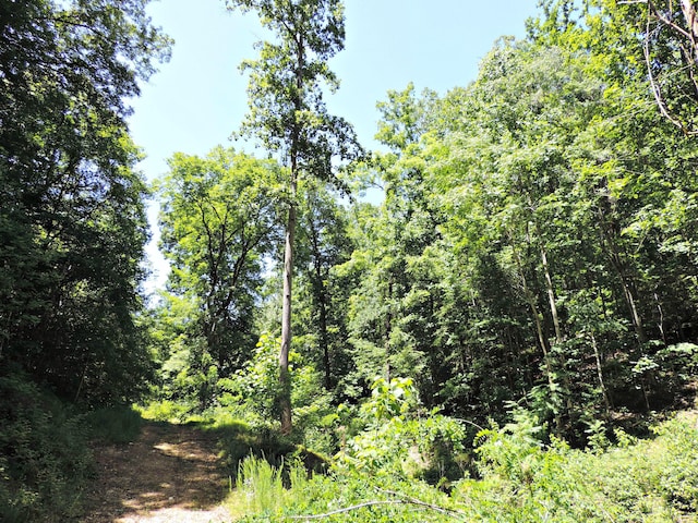 1476 Bear Creek Rd, New Tazewell, TN 37825