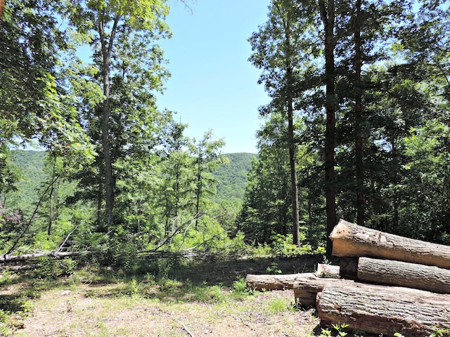 1476 Bear Creek Rd, New Tazewell, TN 37825