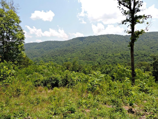 1476 Bear Creek Rd, New Tazewell, TN 37825