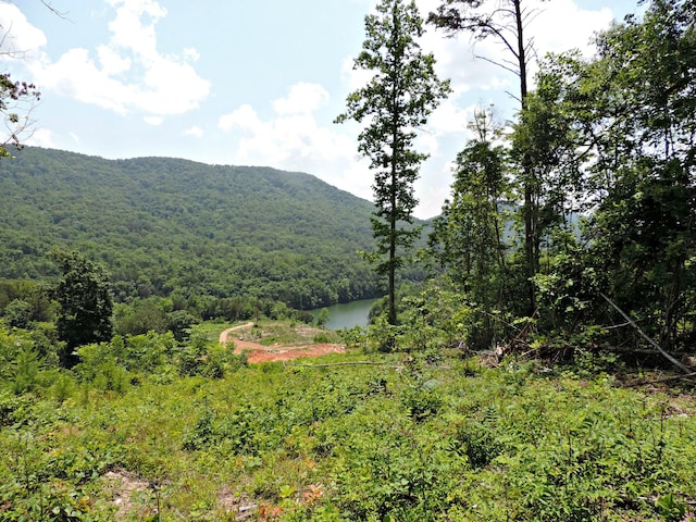 1476 Bear Creek Rd, New Tazewell, TN 37825