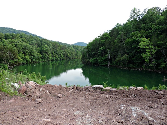 1476 Bear Creek Rd, New Tazewell, TN 37825