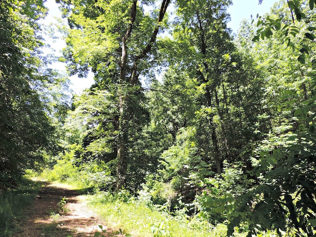 1476 Bear Creek Rd, New Tazewell, TN 37825