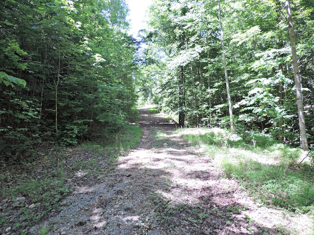 1476 Bear Creek Rd, New Tazewell, TN 37825