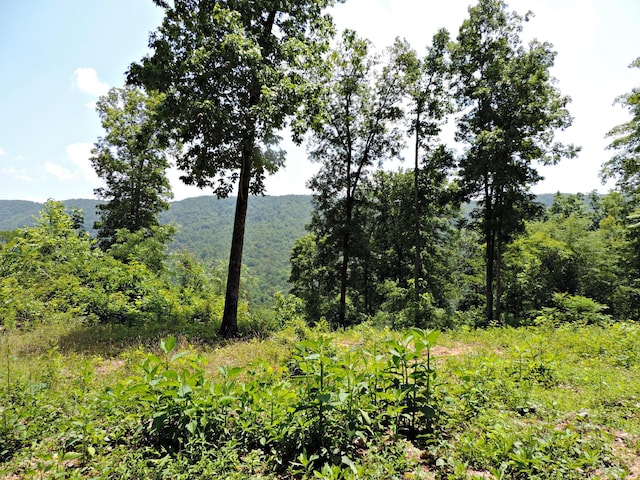 1476 Bear Creek Rd, New Tazewell, TN 37825