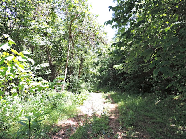 1476 Bear Creek Rd, New Tazewell, TN 37825
