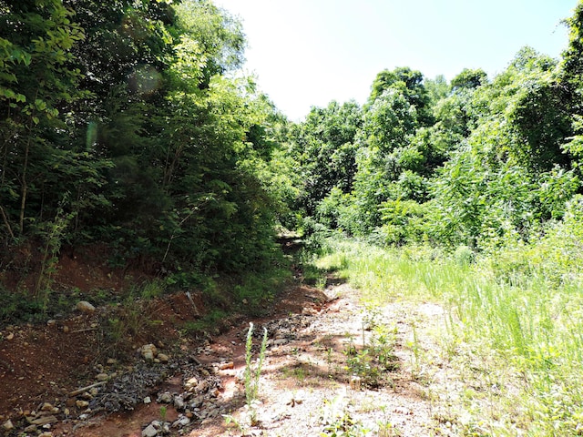 1476 Bear Creek Rd, New Tazewell, TN 37825