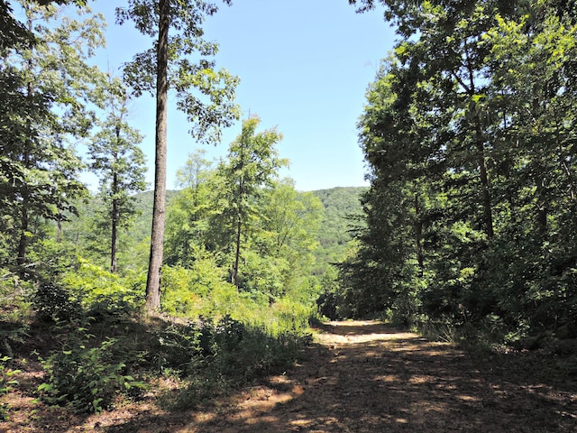 1476 Bear Creek Rd, New Tazewell, TN 37825