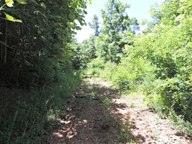 1476 Bear Creek Rd, New Tazewell, TN 37825