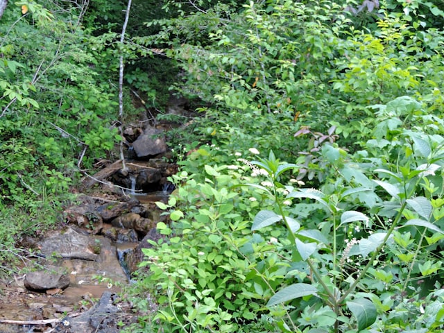 1476 Bear Creek Rd, New Tazewell, TN 37825