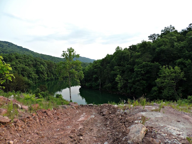 1476 Bear Creek Rd, New Tazewell, TN 37825