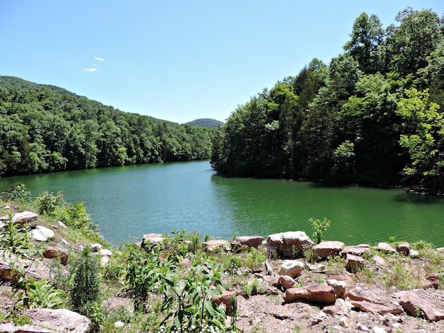1476 Bear Creek Rd, New Tazewell, TN 37825