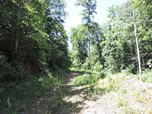 1476 Bear Creek Rd, New Tazewell, TN 37825