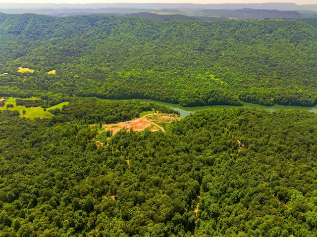 1476 Bear Creek Rd, New Tazewell, TN 37825