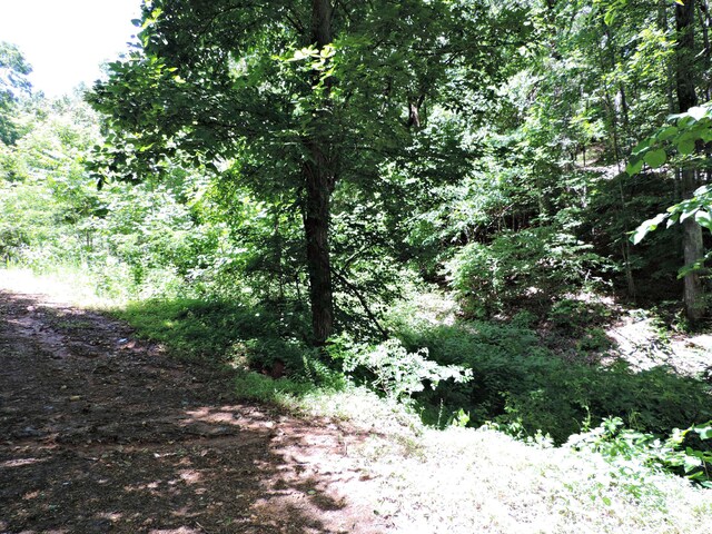 1476 Bear Creek Rd, New Tazewell, TN 37825