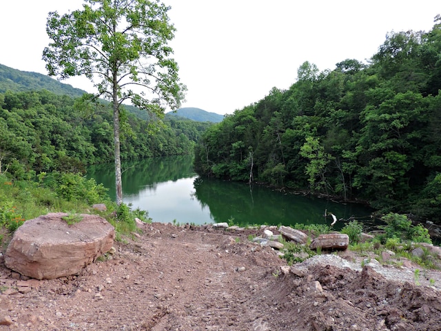 1476 Bear Creek Rd, New Tazewell, TN 37825
