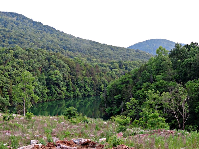 1476 Bear Creek Rd, New Tazewell, TN 37825