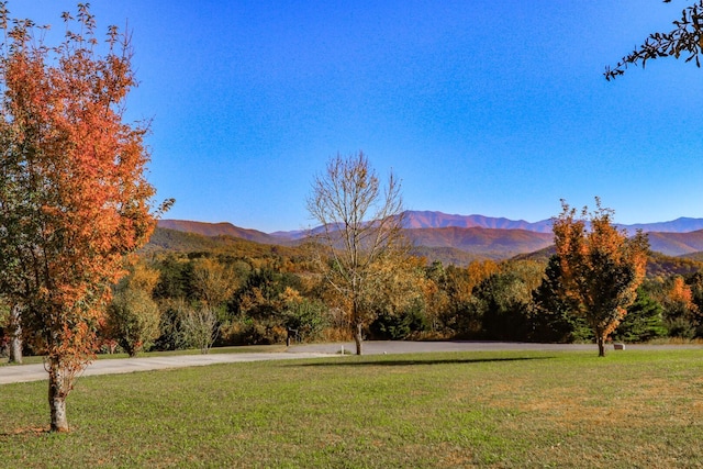 2544 Melody Way, Newport, TN 37821 - photo 50