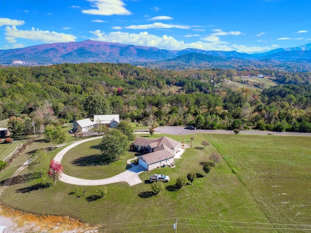 2544 Melody Way, Newport, TN 37821 - photo 45