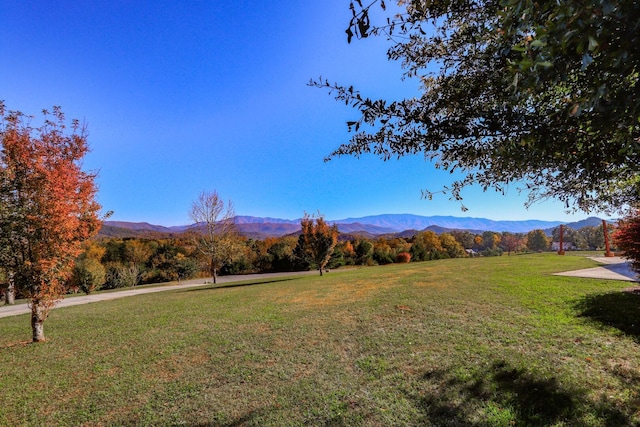 2544 Melody Way, Newport, TN 37821 - photo 51