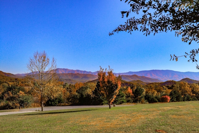 2544 Melody Way, Newport, TN 37821 - photo 49