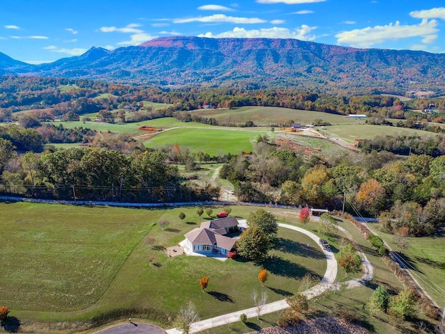 2544 Melody Way, Newport, TN 37821 - photo 44