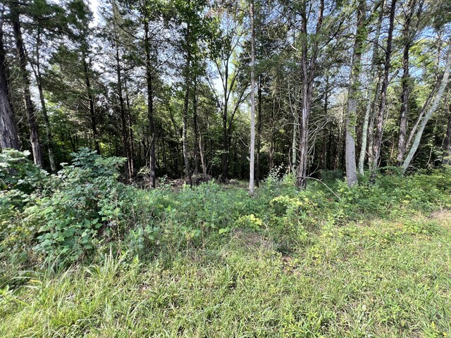 LOT178 Hill Trail Dr, Morristown, TN 37814