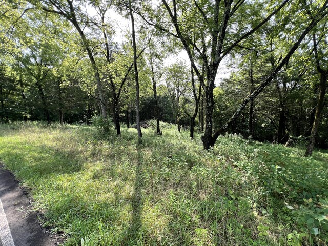 LOT178 Hill Trail Dr, Morristown, TN 37814