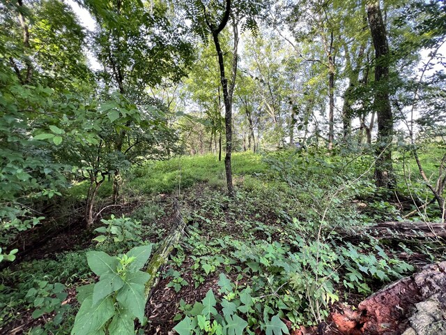 LOT178 Hill Trail Dr, Morristown, TN 37814