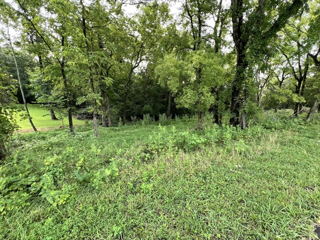 LOT178 Hill Trail Dr, Morristown, TN 37814