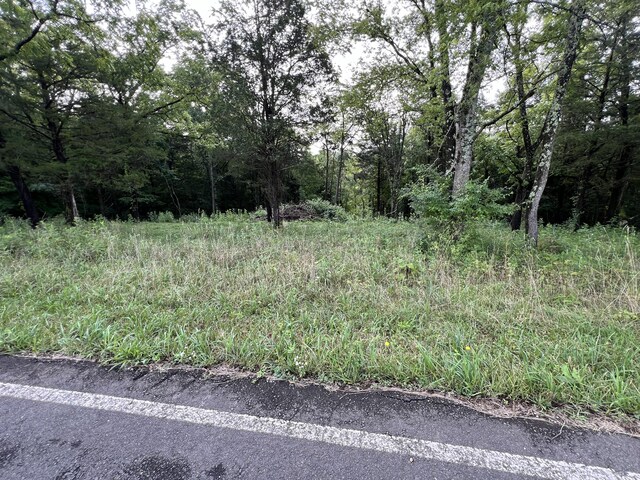 LOT178 Hill Trail Dr, Morristown, TN 37814