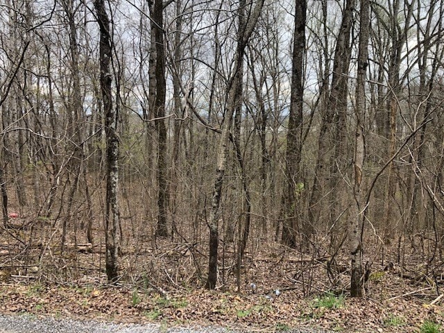 Listing photo 2 for LOT139 Spruce Dr, TN 37381