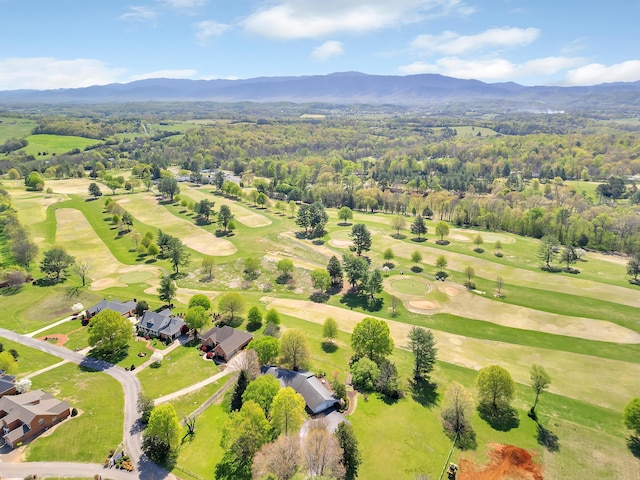 310 Par Ln, Greeneville, TN 37743 - birds eye view of property with a view of trees and a mountain view