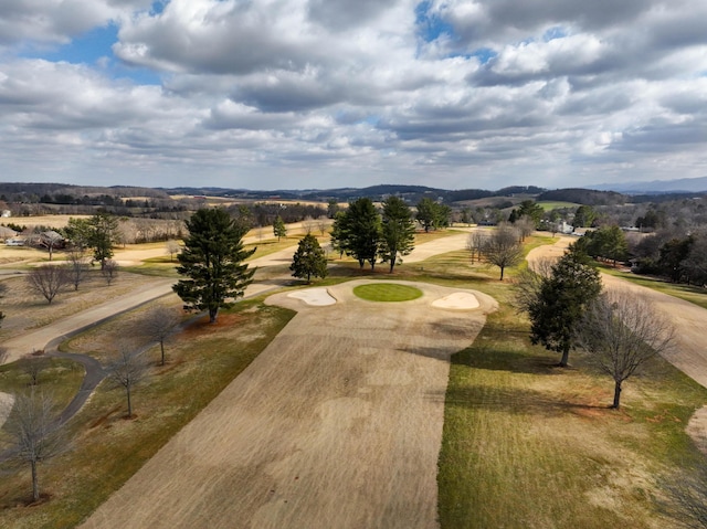 310 Par Ln, Greeneville, TN 37743 - surrounding community featuring curved driveway
