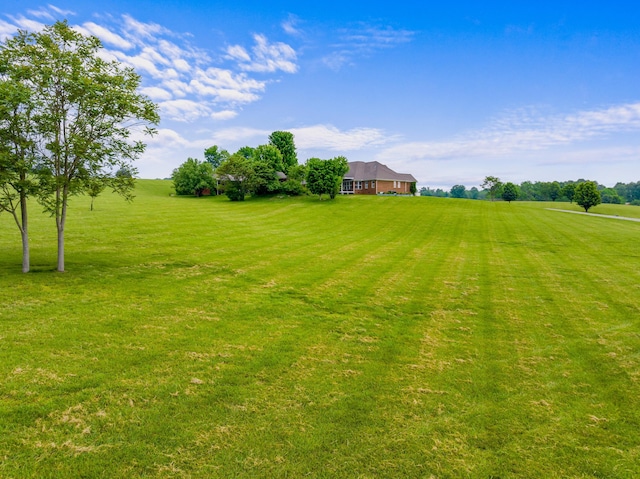 view of yard with a rural view