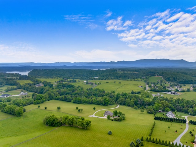 birds eye view of property with a rural view and a mountain view