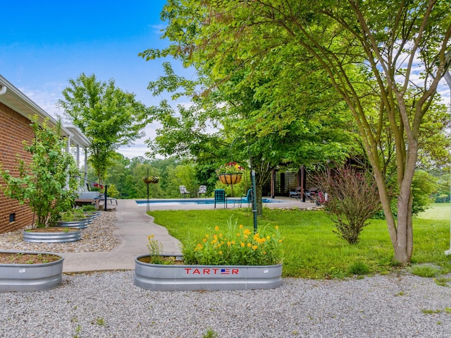 view of property's community with a lawn and a pool