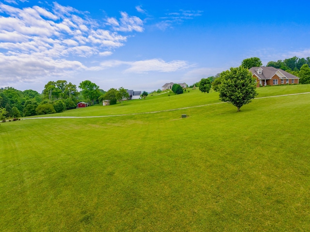 view of property's community with a yard